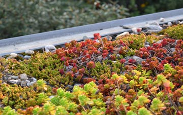 the cost of Runham green roof installation