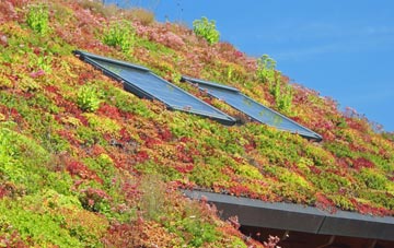Runham living roof systems