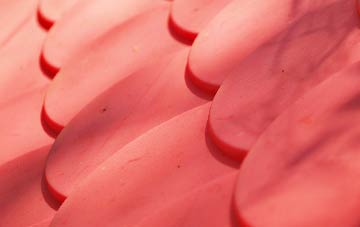 Runham plastic roof costs